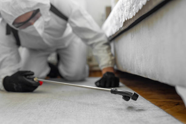 Professional Cockroach Control technician working in Iraan, TX