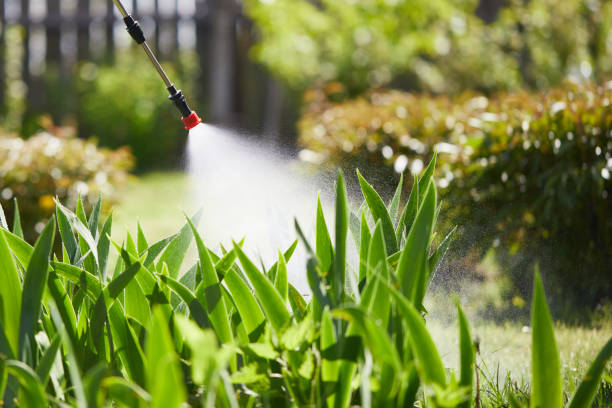 24/7 Emergency Cockroach Control experts in Iraan, TX