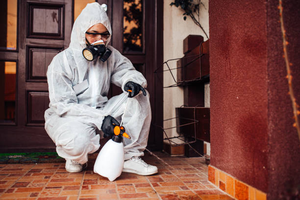 Reliable Cockroach Control contractor in Iraan, TX by Nex Pest Control